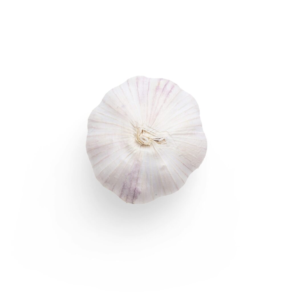 Knoblauch
