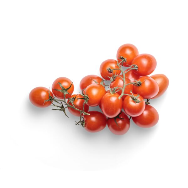 Tomaten Cherry am Strauch